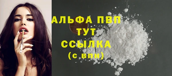 спиды Горняк