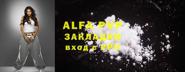 спиды Горняк