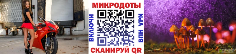 Купить  Ростов  Псилоцибиновые грибы мицелий 